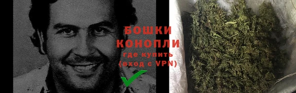 прущие грибы Навашино