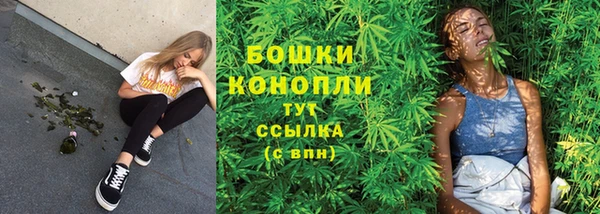 прущие грибы Навашино