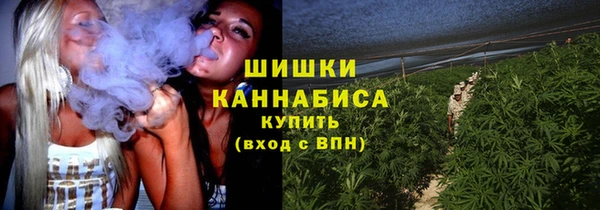 прущий лед Надым