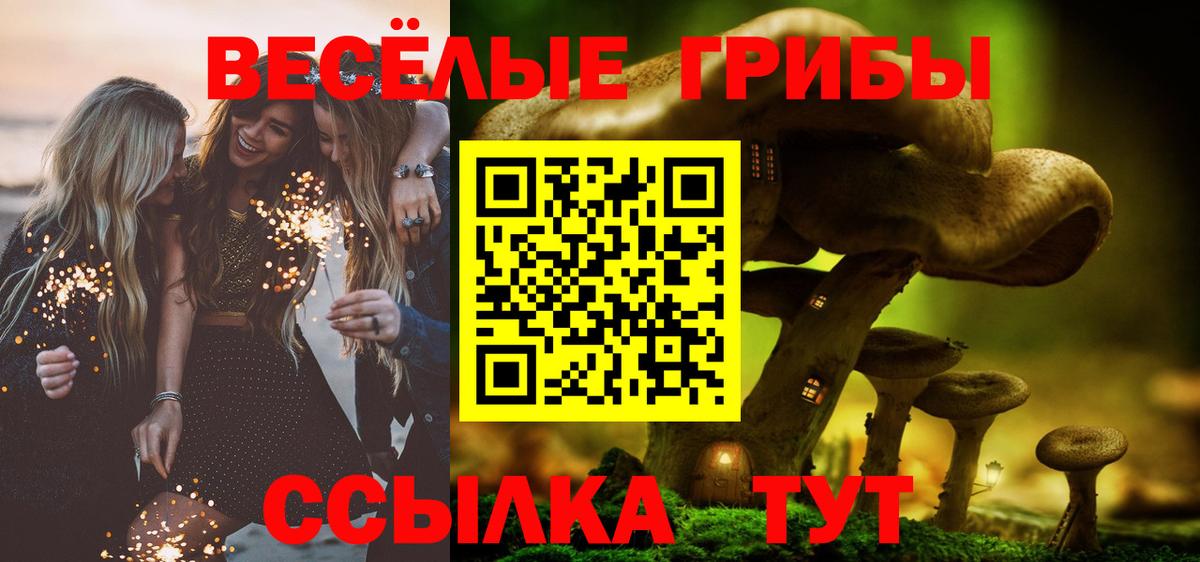Псилоцибиновые грибы Cubensis Кудымкар