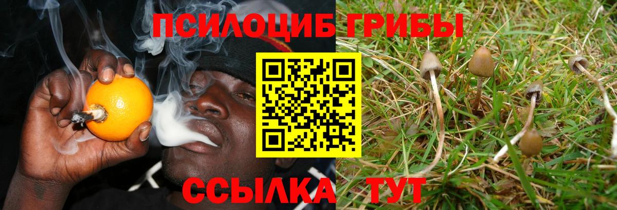 Кудымкар  Галлюциногенные грибы MAGIC MUSHROOMS  Вход с VPN 